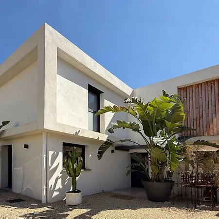 Bord De Avec Piscine Et Jardin Tropical - Seaside With Pool And Tropical Garden Vila